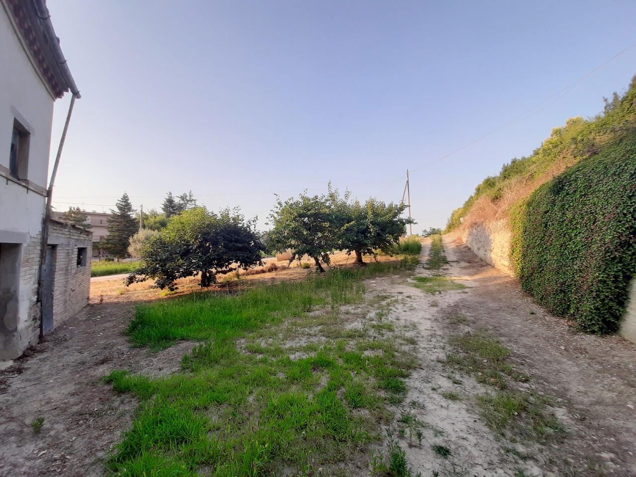 Farmhouse to restore with hills view and land for sale in Moregnano di