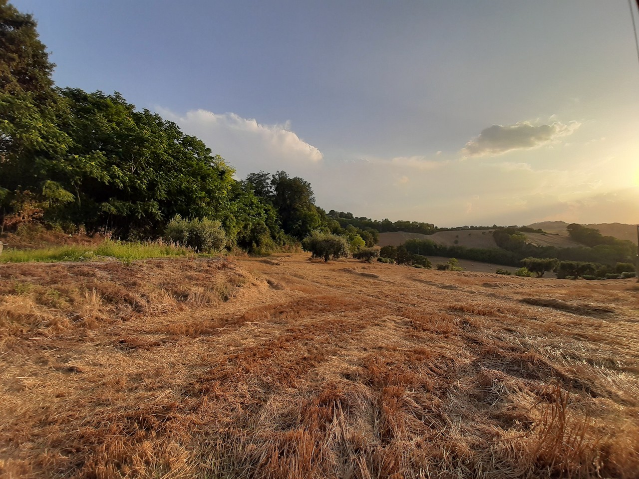 Farmhouse to restore with hills view and land for sale in Moregnano di