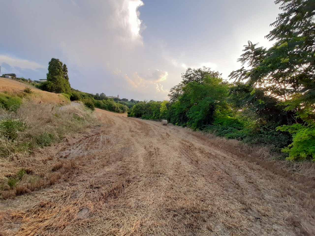 Farmhouse to restore with hills view and land for sale in Moregnano di