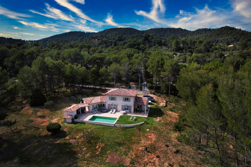 Salernes Charming villa with pool for sale. Var, Provence Moulin